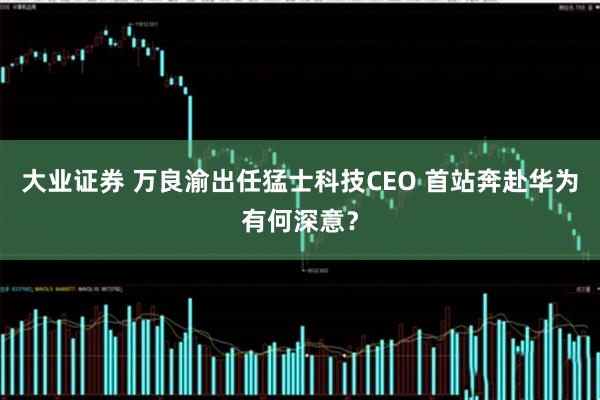 大业证券 万良渝出任猛士科技CEO 首站奔赴华为有何深意？