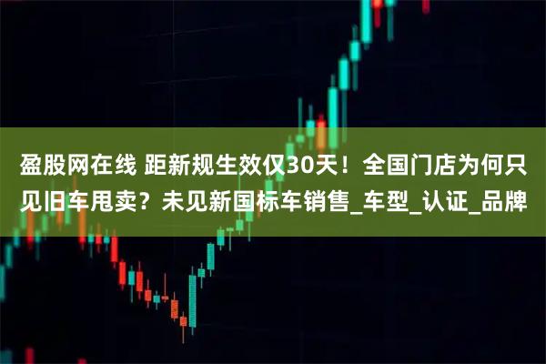 盈股网在线 距新规生效仅30天!全国门店为何只见旧车甩卖?未见新国标车销售_车型_认证_品牌
