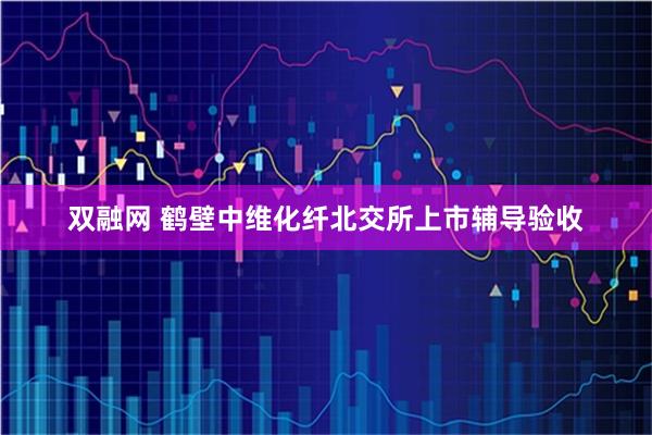 双融网 鹤壁中维化纤北交所上市辅导验收