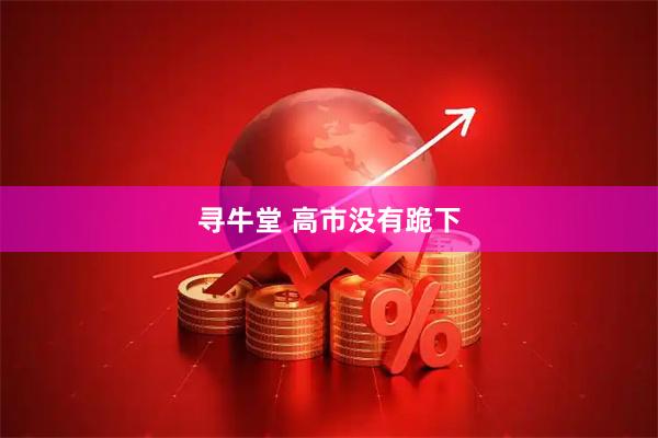 寻牛堂 高市没有跪下