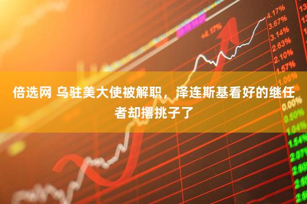 倍选网 乌驻美大使被解职，泽连斯基看好的继任者却撂挑子了